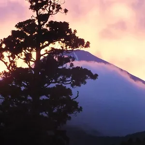 Ryokan (tradycyjny japoński pensjonat lub zajazd) Hananoyado Fukuya
